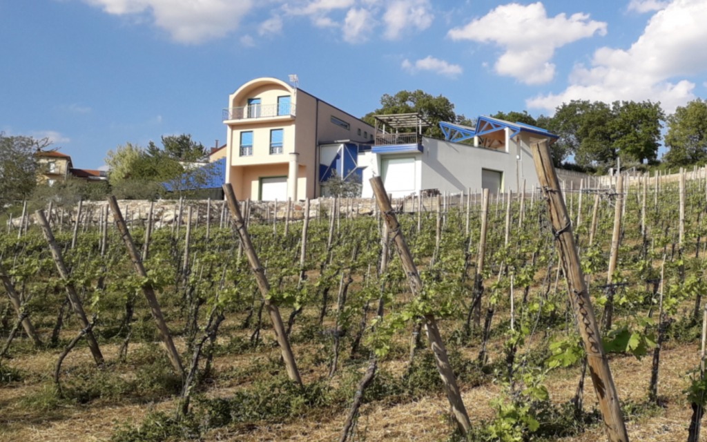 Winzer Aia Dei Colombi aus Kampanien | Unsere Weinreben