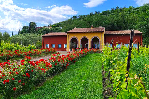 Winzer Balestri Valda aus Venetien | Unser Weingut