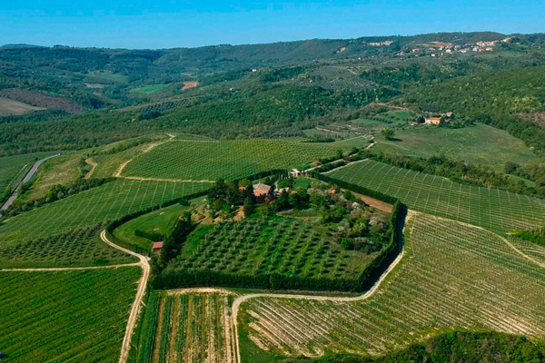 Winzer Cantine Neri aus Umbrien | Die Weinberge