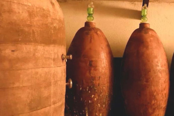 Winzer Ciavolich aus den Abruzzen | Die Weinfässer