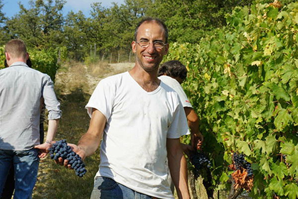 Winzer Fattoria Poggerino aus der Toskana | Die Weinlese