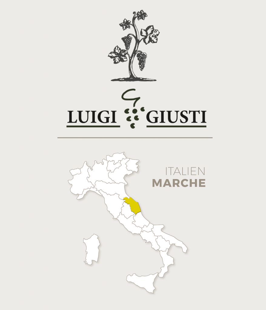 Winzer Luigi Giusti aus Marken | Region