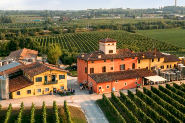 Winzer Pilandro aus der Lombardei | Unser Weingut