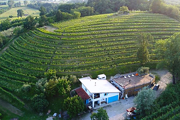 Winzer Marco Cecchini aus Friaul | Unsere Weinberge